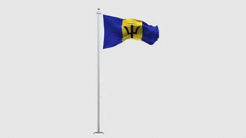 Barbados flag waving looping with transparent background. 스톡 동영상 310382878