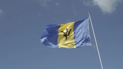 Barbados Flag Waving In The Wind Stock Footage 72472163