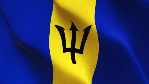 Barbados flag waving on wind. Stock Illustration