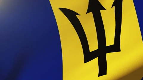 Barbados flag waving in the wind. Looping sun rises style.  Animation loop Stock-Footage 48593322