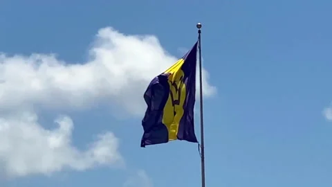 Barbados national flag Stock Footage 234737810
