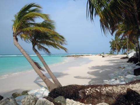 Barbados Stock Photos