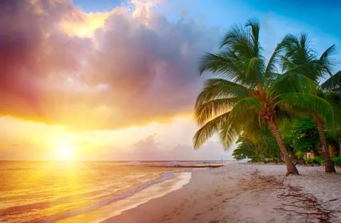 Barbados Stock Photos