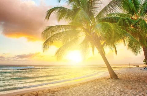 Barbados 스톡 사진