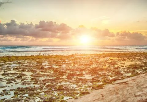 Barbados Stock Photos