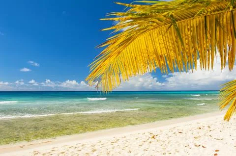 Barbados Stock Photos