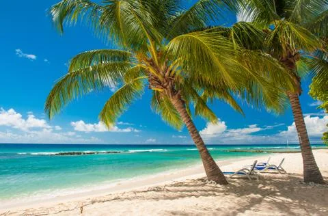 Barbados Stock Photos