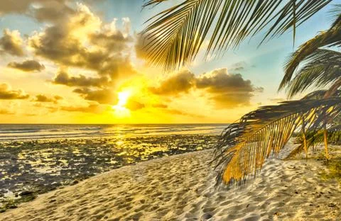 Barbados Stock Photos