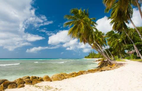 Barbados Stock Photos