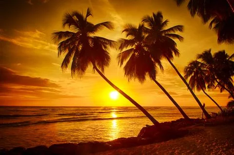 Barbados Stockfoto's