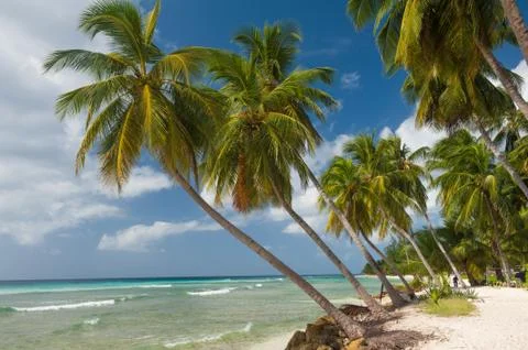Barbados Foto stock