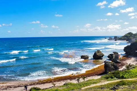Barbados Stock Photos