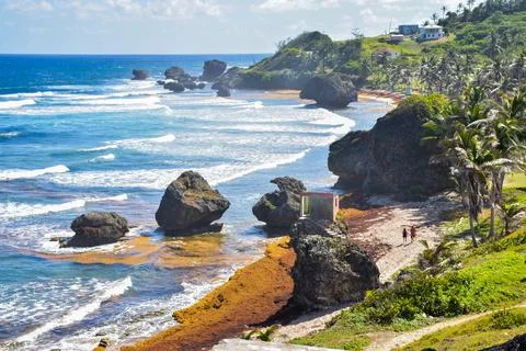 Barbados Stock Photos