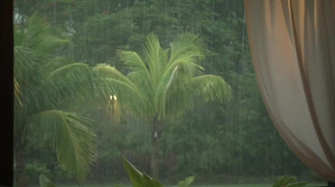 BARBADOS RAIN Stock-Footage 567448