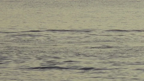 Barbados Sea After Sunset Stock Footage 107566211