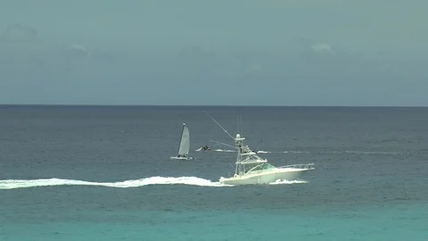 Barbados Sea View Stock Footage 106198504