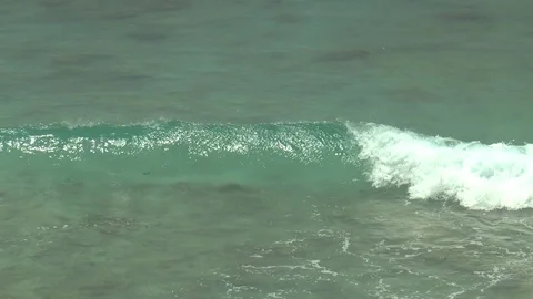 Barbados Waves Stock Footage 108509607