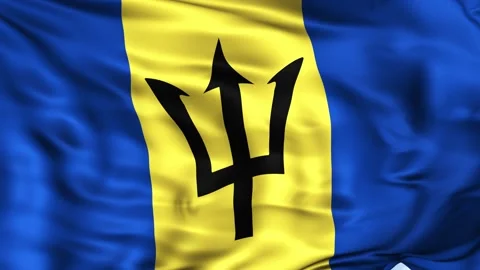 Barbados Waving Flag Background Stock Footage 204135752