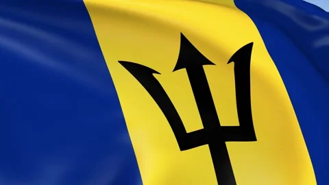 Barbados Waving Flag Background Loop Stock Footage 317843880