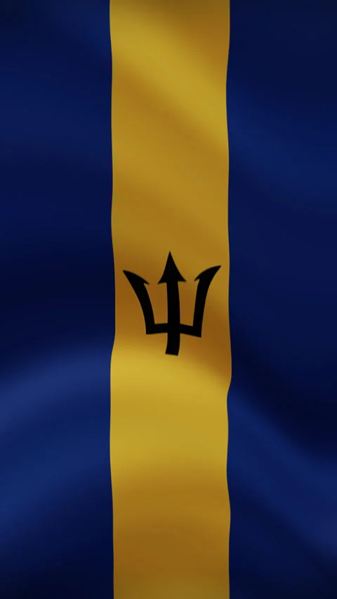 Barbados Waving Flag in Vertical Orientation – Realistic Loop Animation Stock Footage 294948472