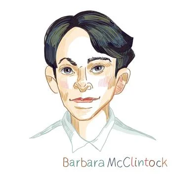 Barbara McClintock portrait Stock Illustration