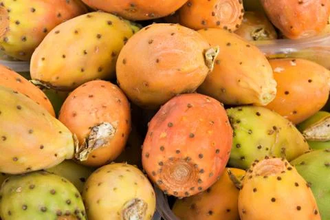 Barbary figs Stock Photos