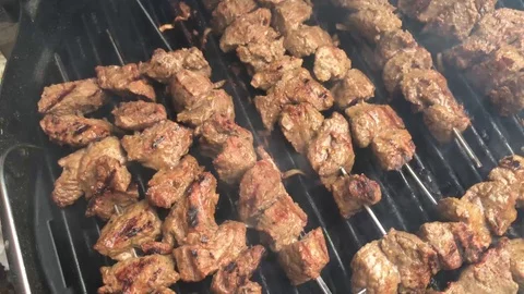 Barbecue 14 Stock Footage 101856743