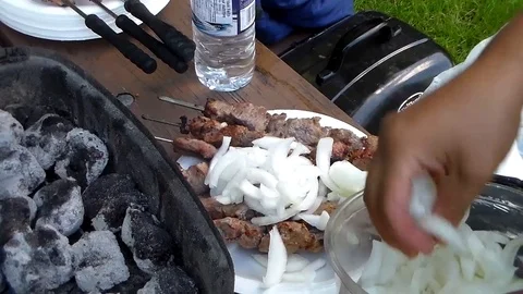 Barbecue 6 Stock Footage 90863053