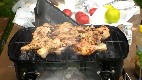 Barbecue 8 Stock Footage 90701565