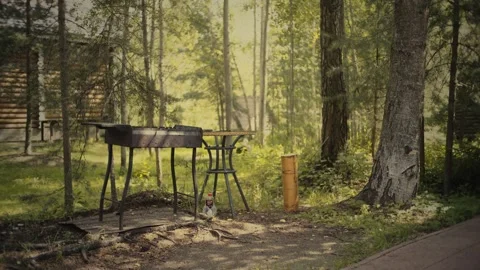 Barbecue on the background of the forest Video stock 305331226