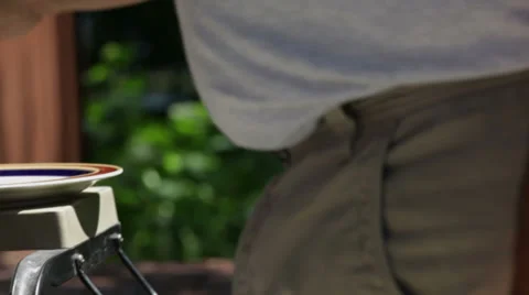 Barbecue BBQ grilling Stock-Footage 34433492