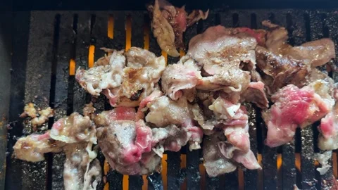 Barbecue Beef Slices on Open Flame Grill 動画素材 346009389