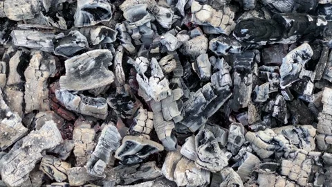 Barbecue brazier grill with extinct charcoal, coal for preparing shashlik Stock Footage 196889620