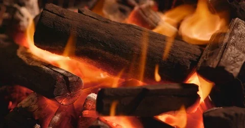 Barbecue Charcoal fire Stock Footage 83862511