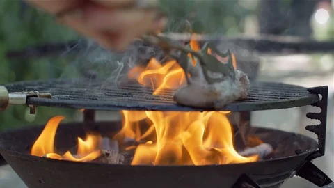 Barbecue in close-up fire, grill Stock Footage 114078641