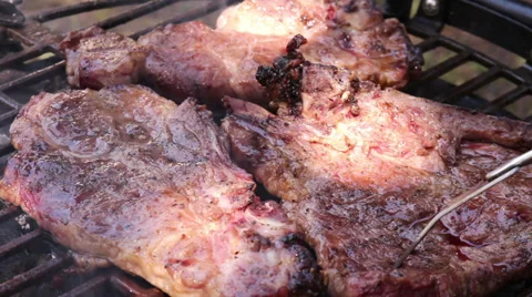 Barbecue Close Up Stock Footage 39580116