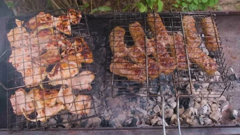 Barbecue on coals with smoke. Stock Footage 199592277