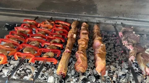 Barbecue cooking Stock Footage 205040098