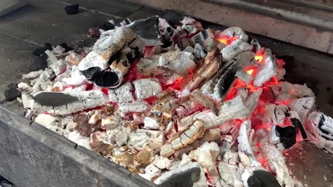 Barbecue cooking Stock Footage 205040203