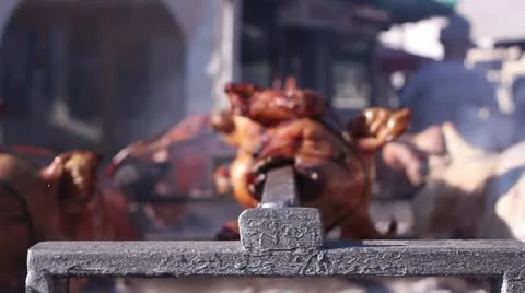 Barbecue fest (spit) Video stock 11886363