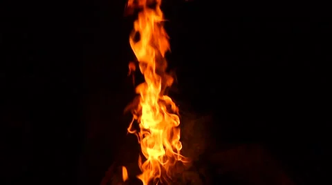 Barbecue Fire, Bonfire  Stock Footage 50796688