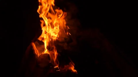 Barbecue Fire, Bonfire  Stock Footage 50796776