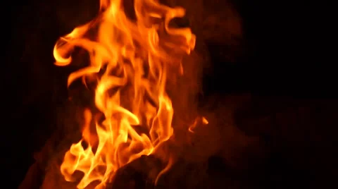 Barbecue Fire, Bonfire  스톡 동영상 50796855