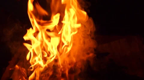 Barbecue Fire, Bonfire  스톡 동영상 50796882