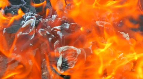 Barbecue fire Stock Footage 49921513