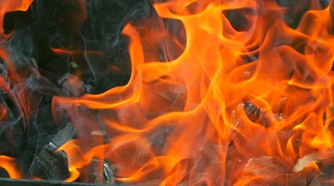 Barbecue fire Stock Footage 49921737