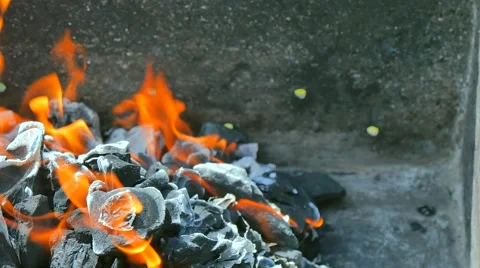 Barbecue fire Stock Footage 49921765