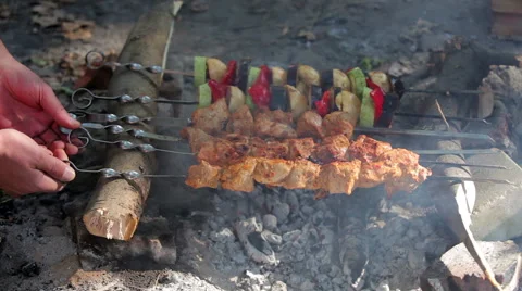 Barbecue on the fire Stock Footage 55818755