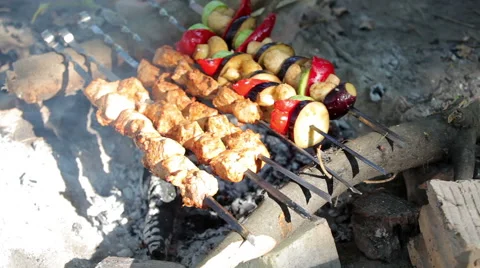Barbecue on the fire Stock Footage 55819659