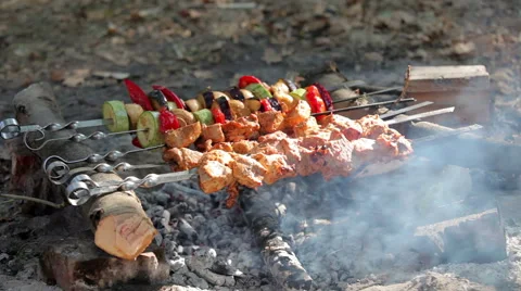Barbecue on the fire Stock Footage 55819720